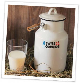 Grosse Käsewurst „Appenzeller“ 20 Stück