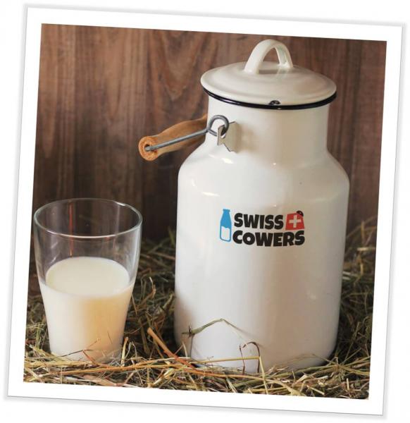 Grosse Käsewurst „Appenzeller“ 20 Stück